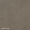 GNT7512