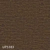 UP5383