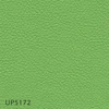 UP5172