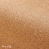 color chip