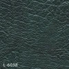 color chip