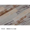 color chip