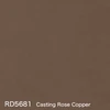 color chip