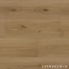 color chip
