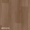 color chip