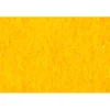 color chip