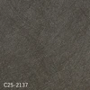 color chip