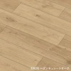 color chip