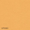 color chip