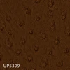 UP5399