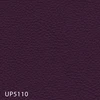 UP5110