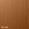 WG-836