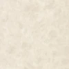color chip