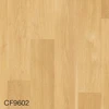 CF9602