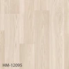 HM-12095