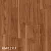 HM-12117