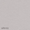 UP5153