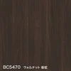 color chip