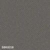 color chip