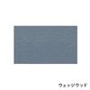 color chip
