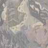 T-9564