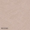RE55385