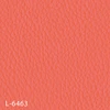 color chip