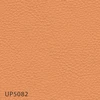 color chip