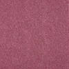 color chip