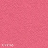 UP5165
