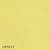 color chip