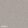 color chip