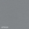 UP5020