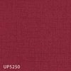 UP5250