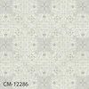 color chip