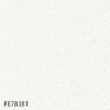 FE78381