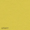 color chip