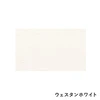 color chip