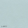 color chip