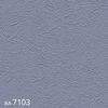 color chip