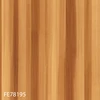FE78195