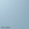 Y23-2919