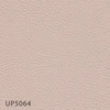 UP5064