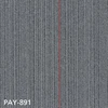 PAY-891