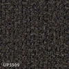 color chip