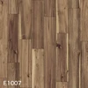 E1007