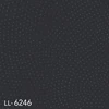 LL-6246