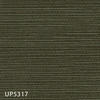 UP5317