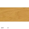 color chip