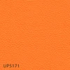 UP5171